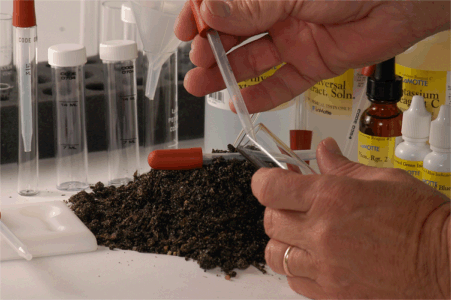 Compost Testing
